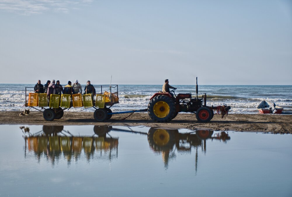 Photograph by Mirmohseni Ghazal