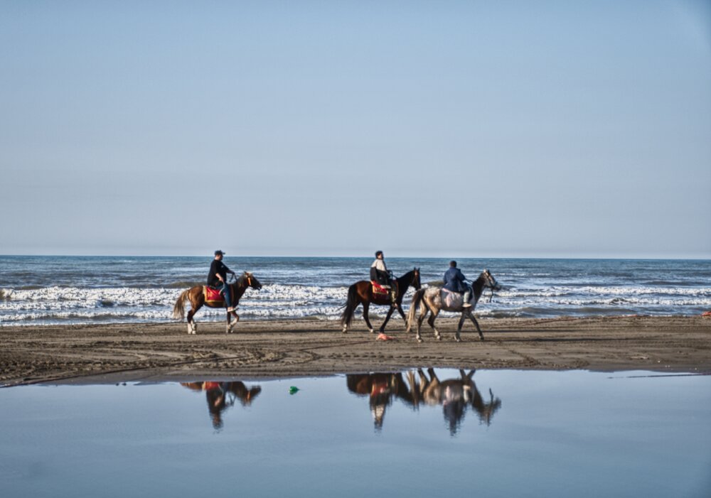 Photograph by Mirmohseni Ghazal