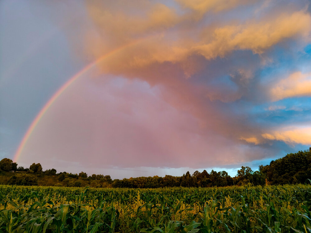 Photograph by Кондрашова Светлана