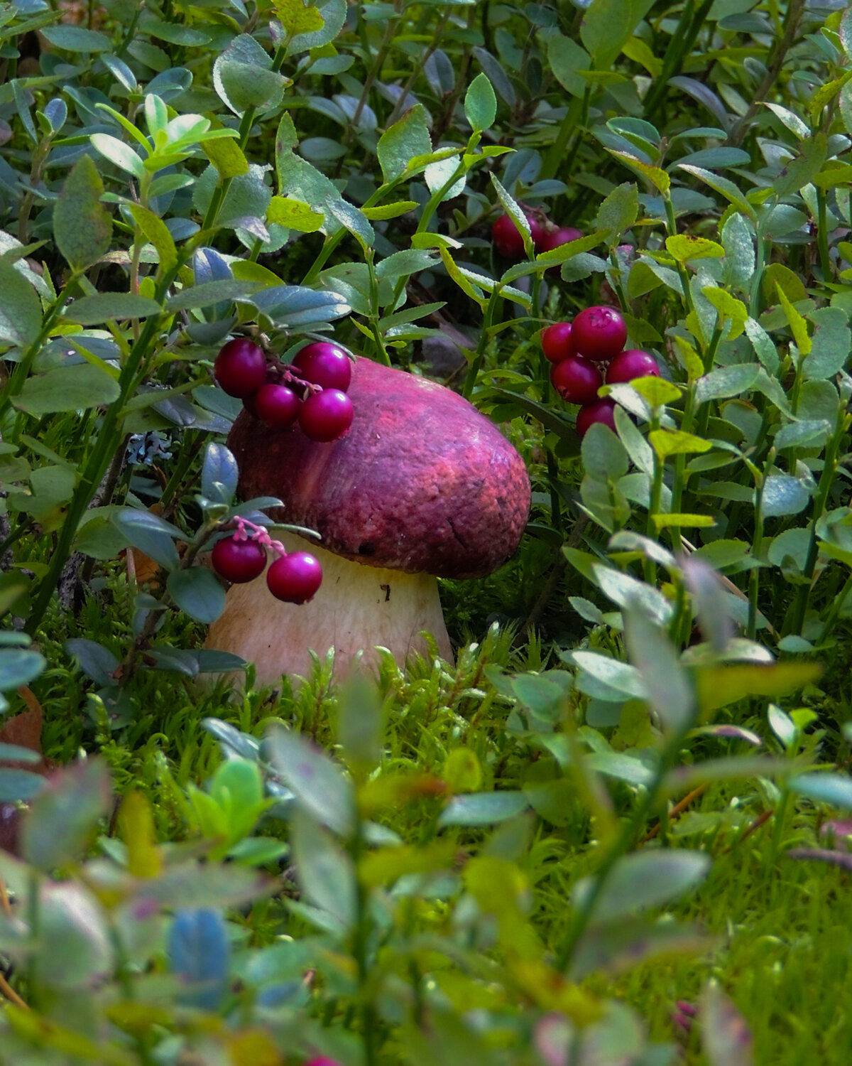 Photo #13957079