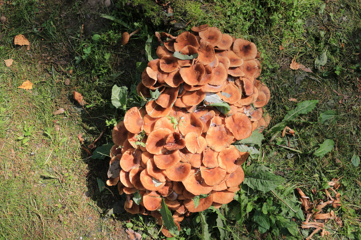 Photo #13957176