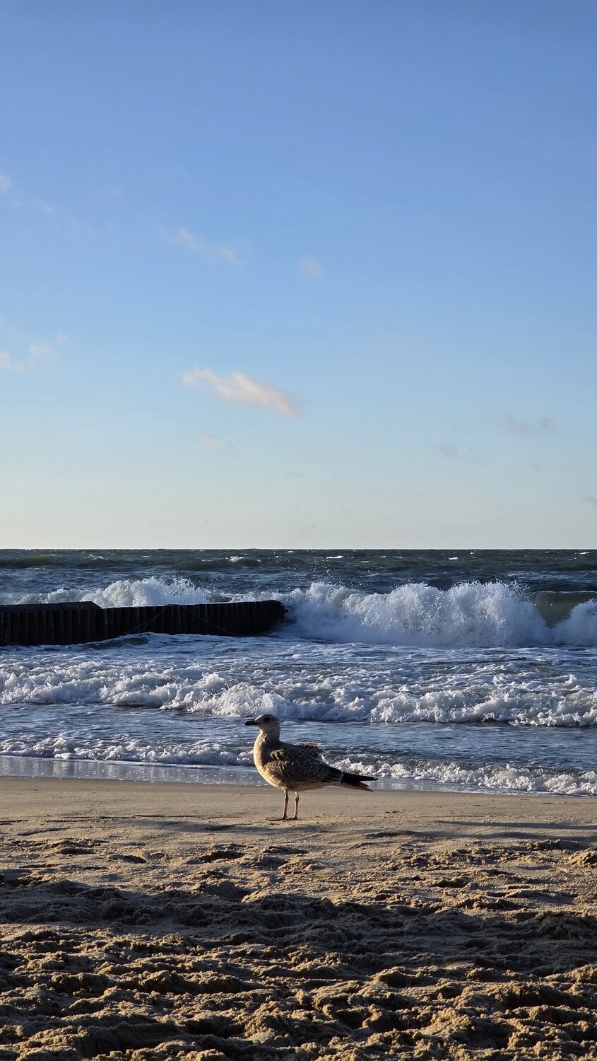 Photo #13957181