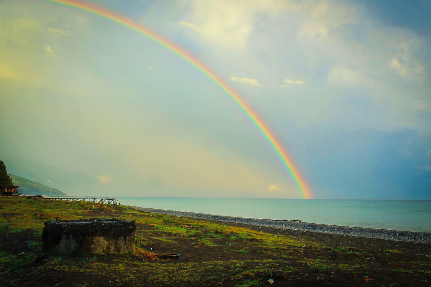 Photo #13957186