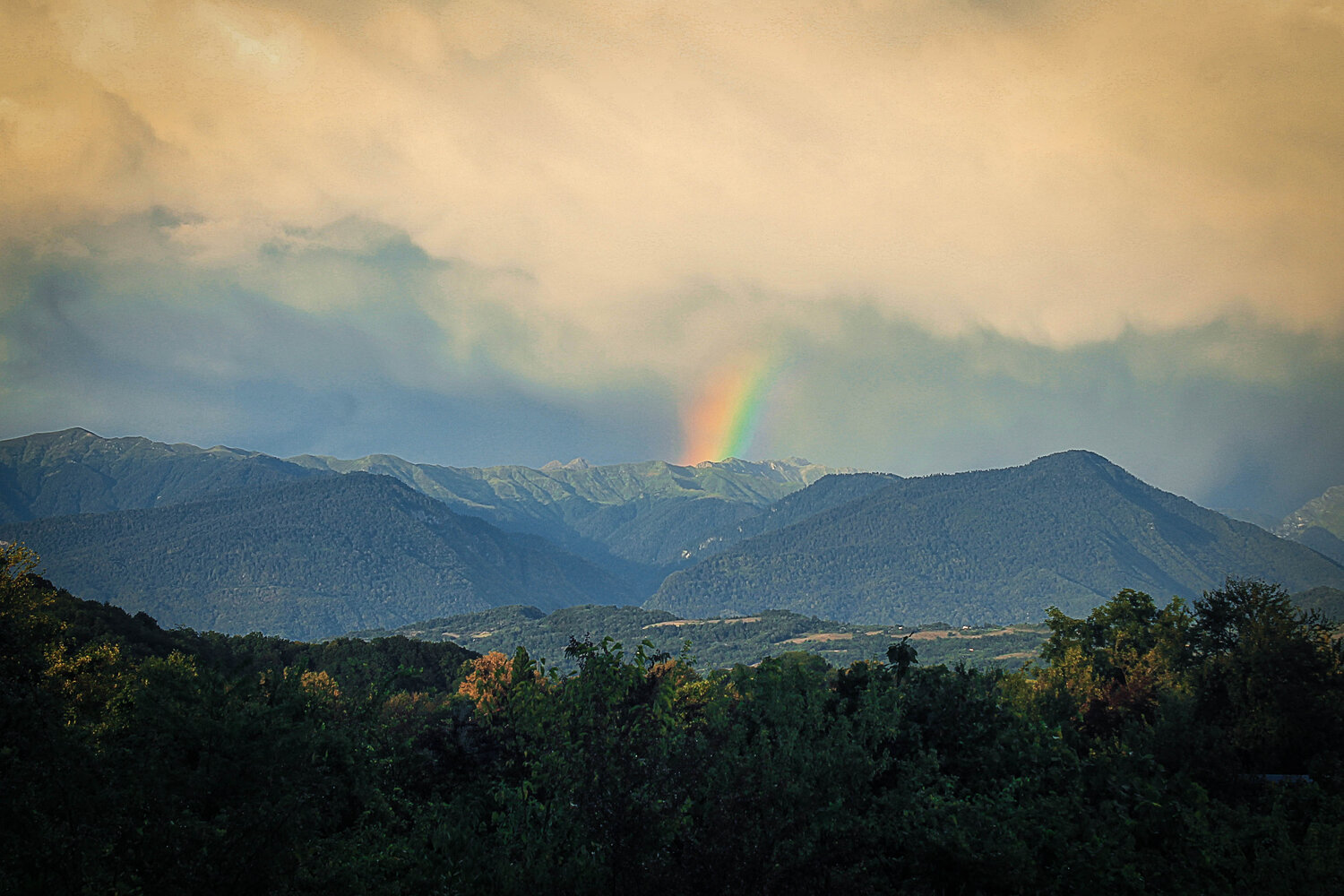 Photo #13957189
