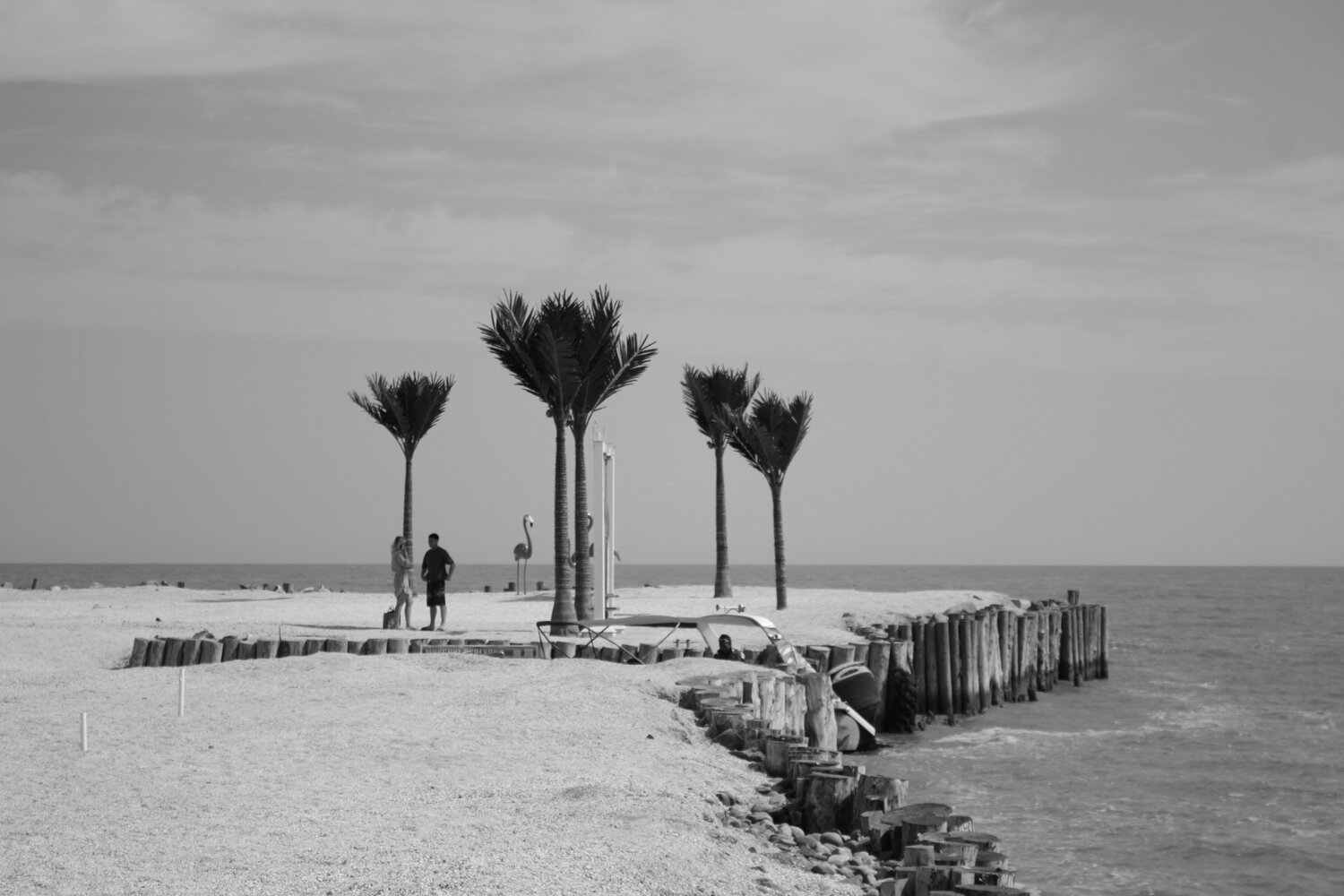 Photo #13957229