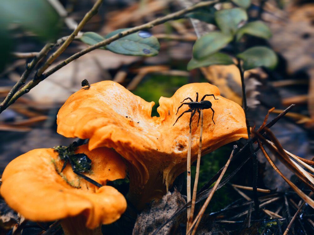 Photograph by Дарья Глухова