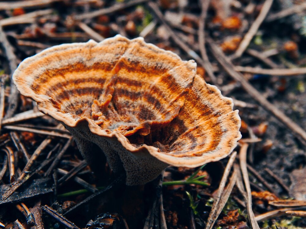 Photograph by Дарья Глухова