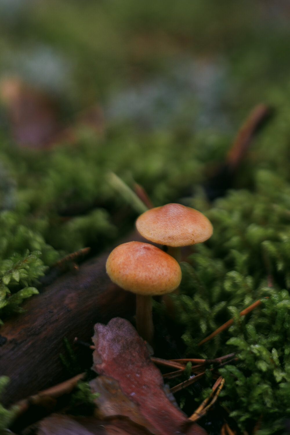 Photo #13957264