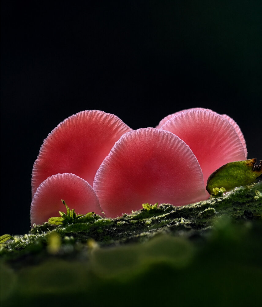 Photograph by Binh Tong