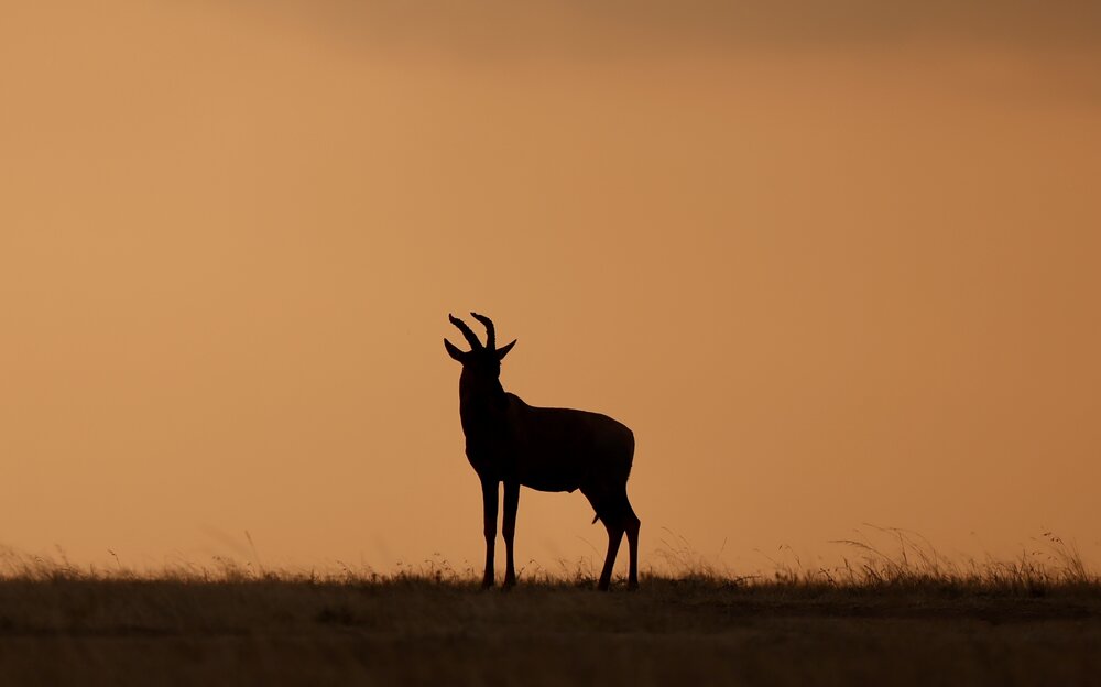 Photograph by Леонид Голубков