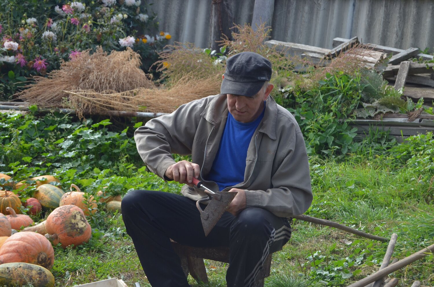 Photo #13957416