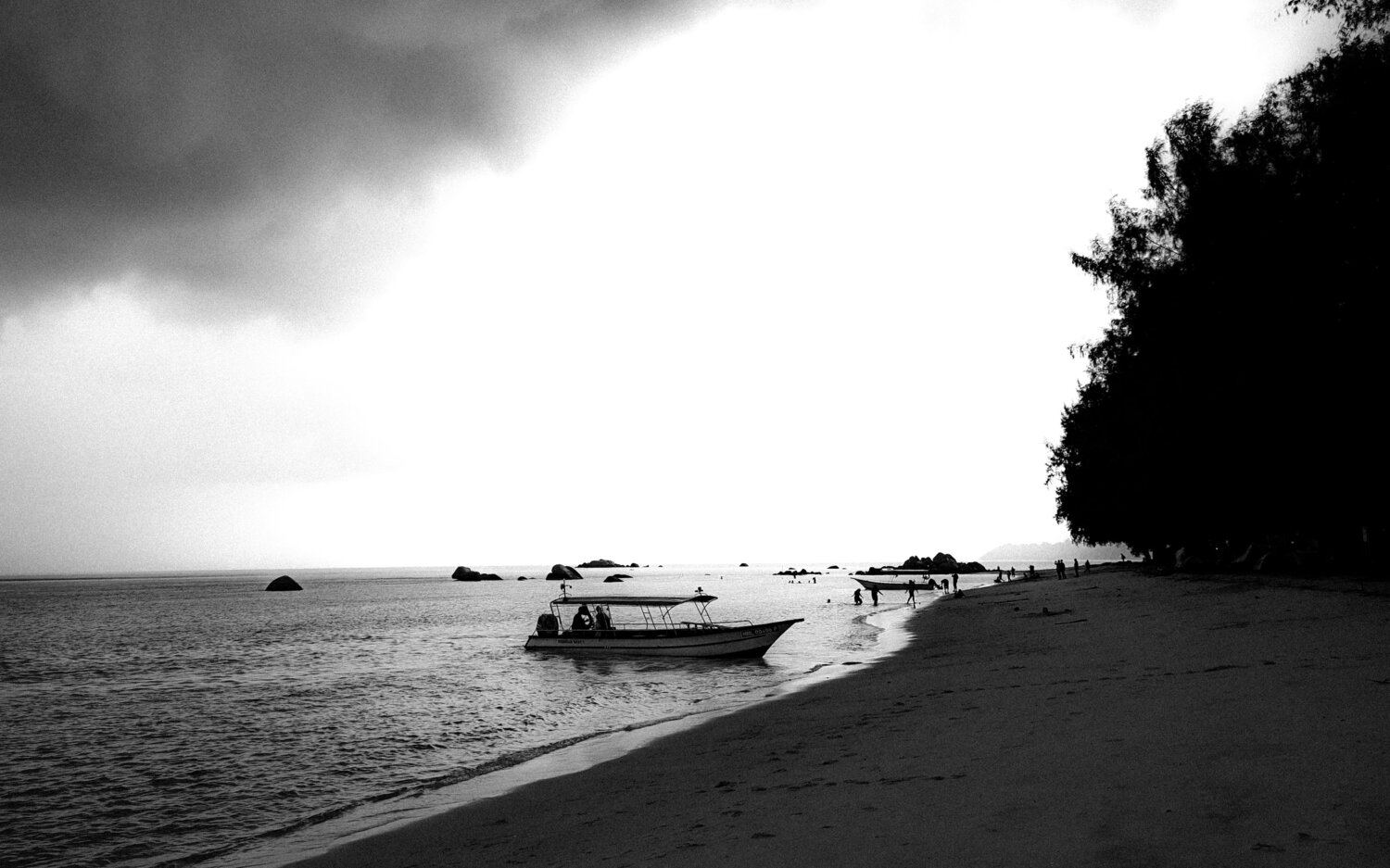 Photo #13957492