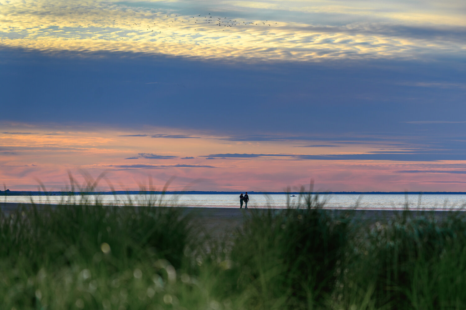 Photo #13957560