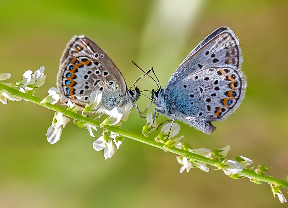 Photograph by Борис Новиков