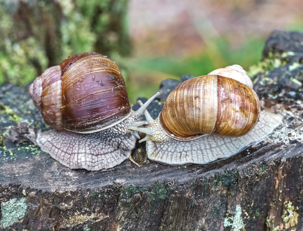 Photograph by Борис Новиков