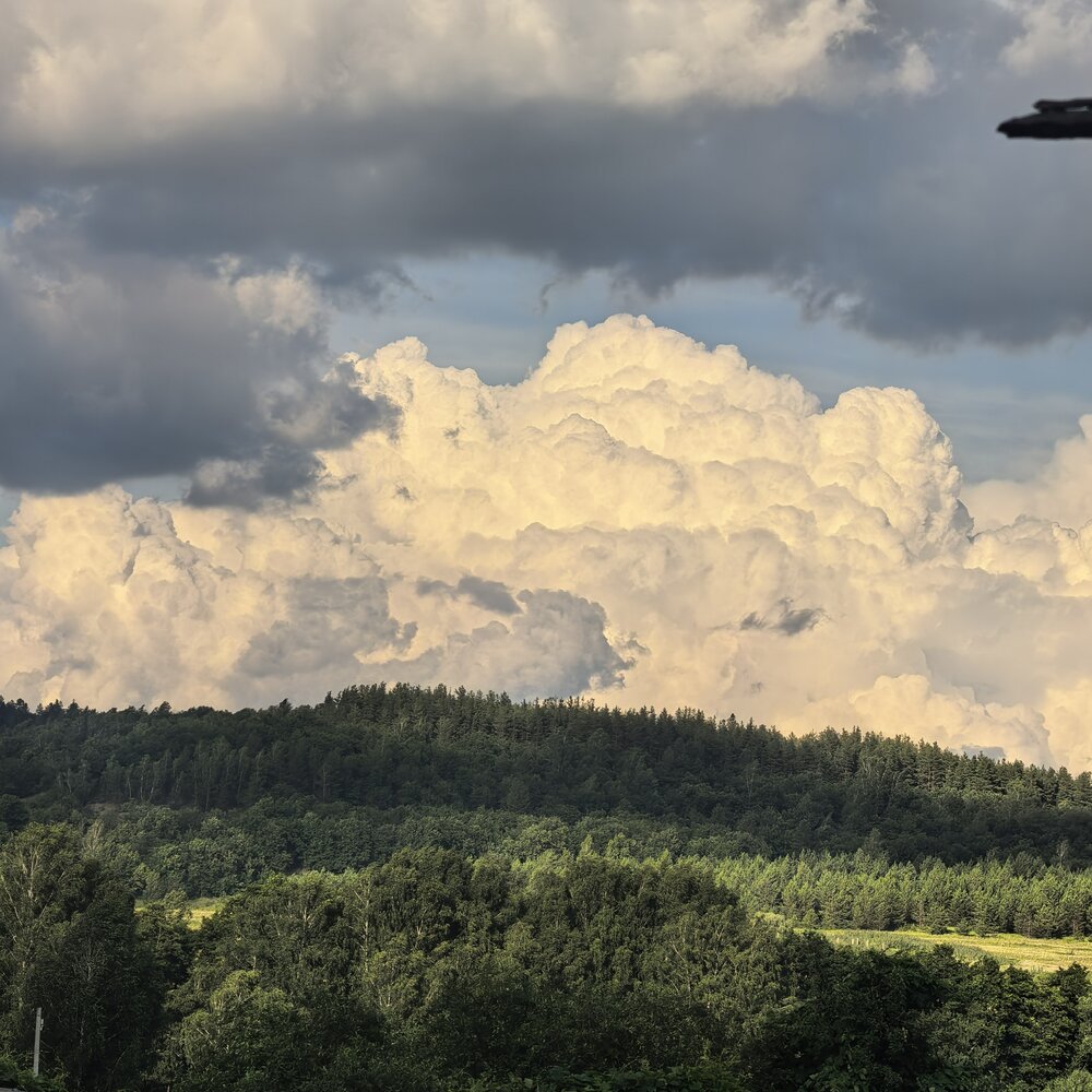Photograph by Раиса Богомазова