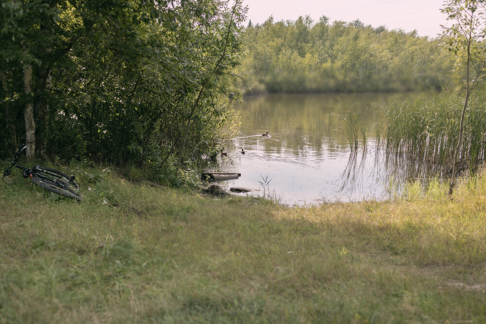 Photograph by Людмила Иевлева