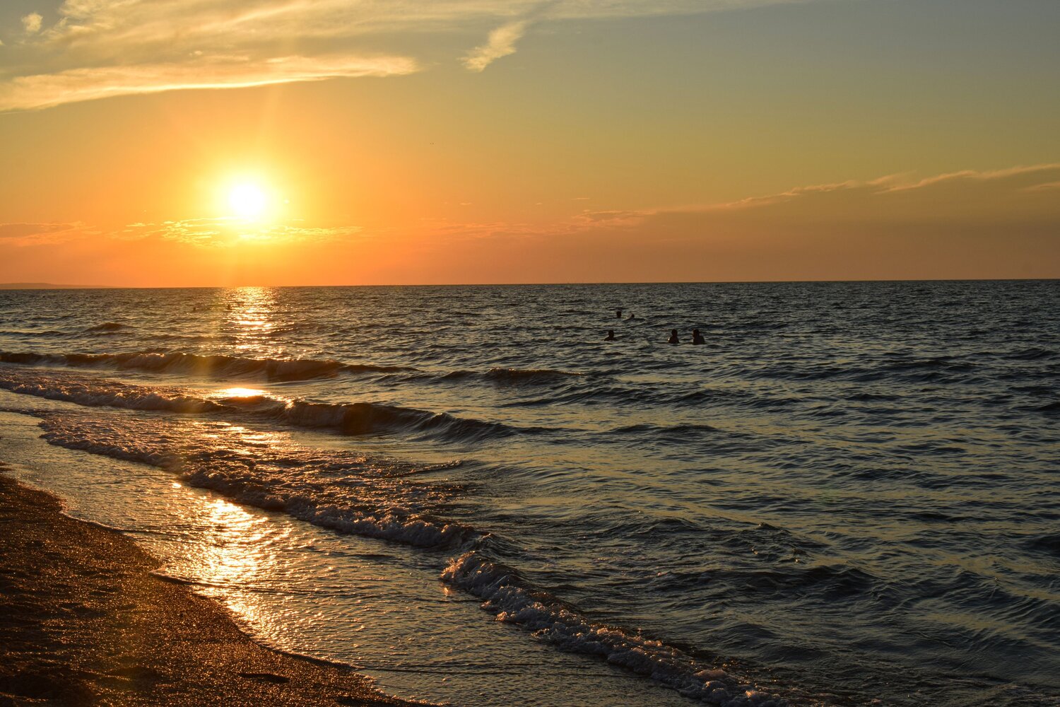 Photo #13957661