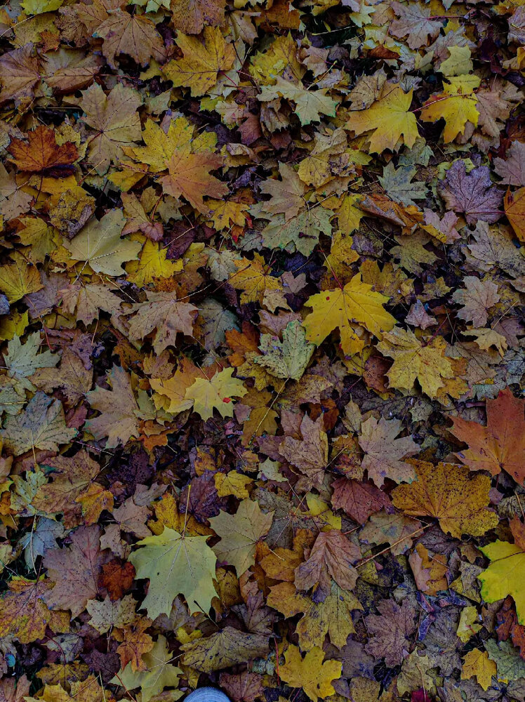 Photograph by Инна Иванова