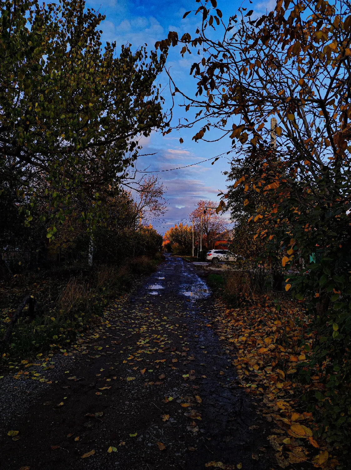 Photo #13957735