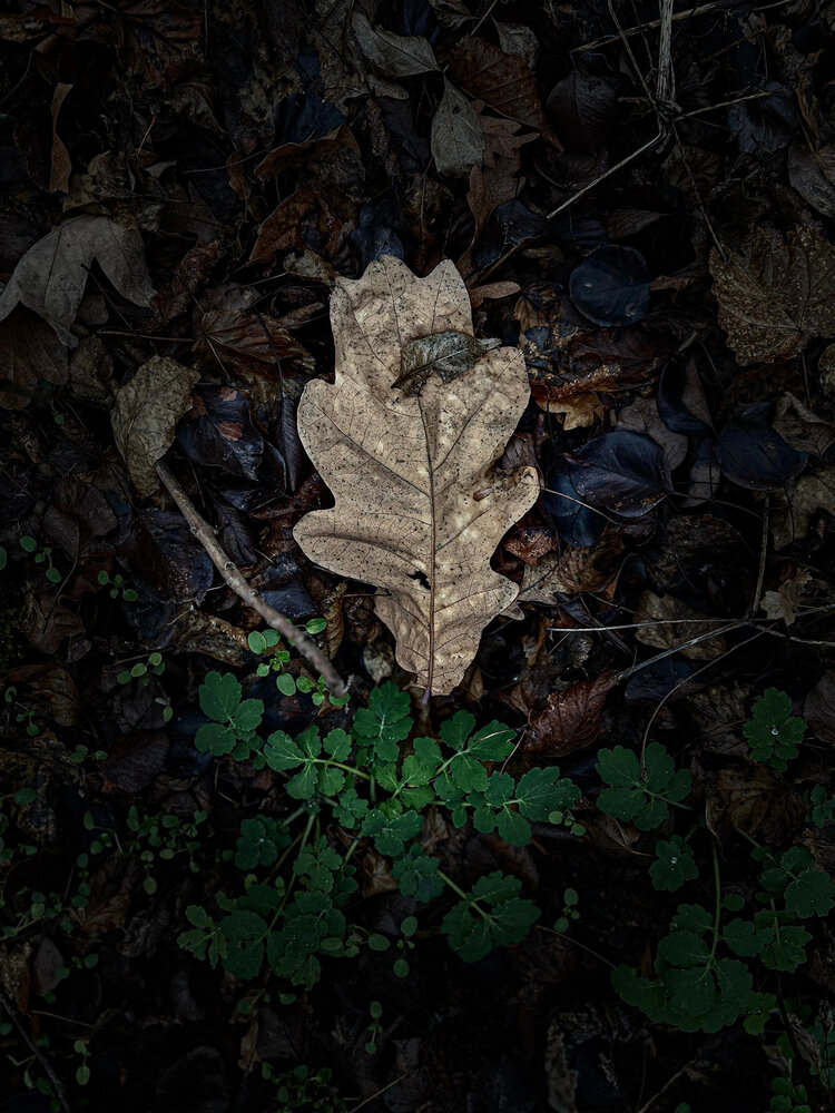 Photograph by Инна Иванова