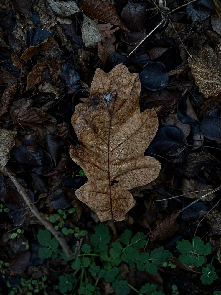 Photograph by Инна Иванова