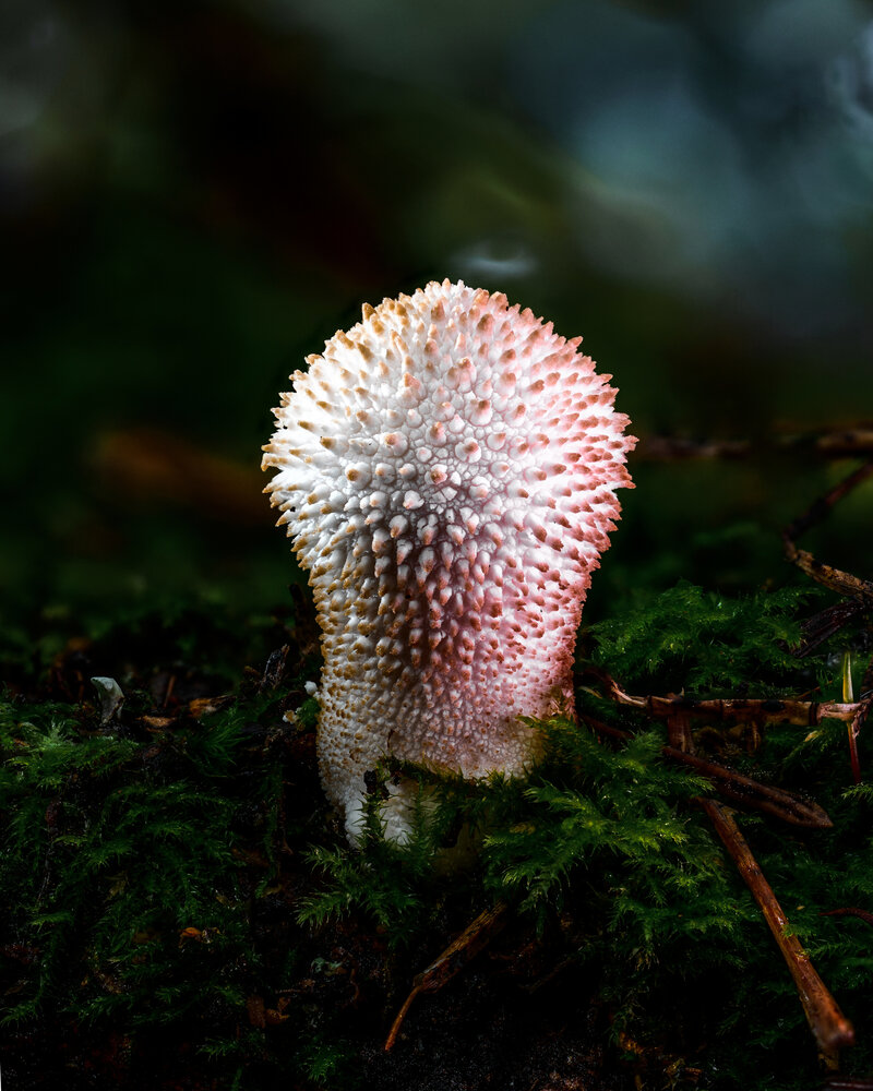 Photograph by Евгений Жуланов