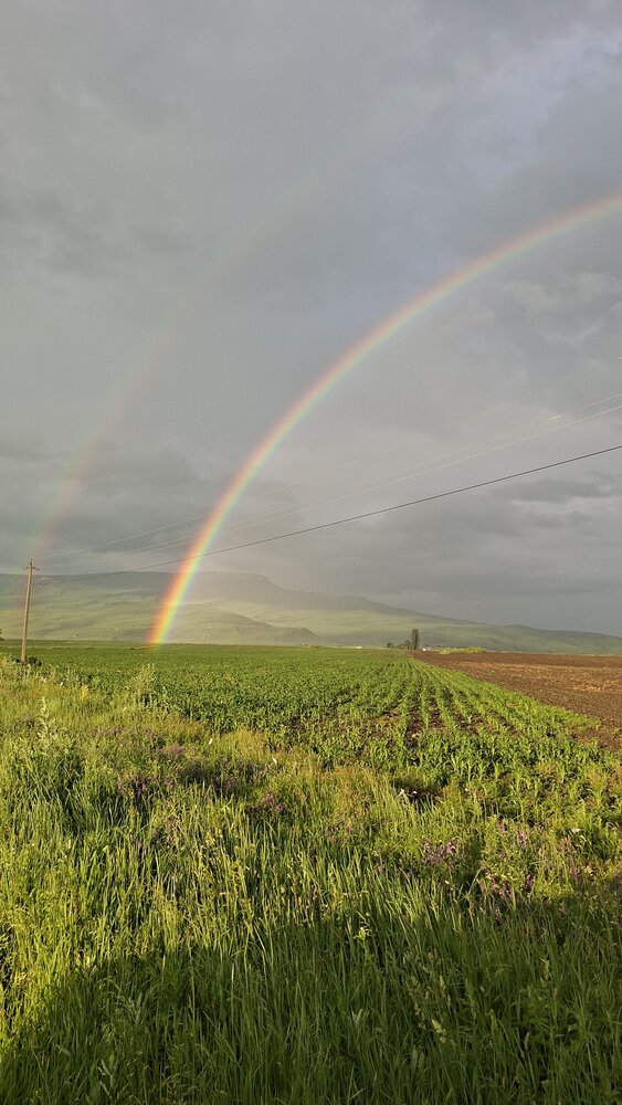 Фотография автора Елена