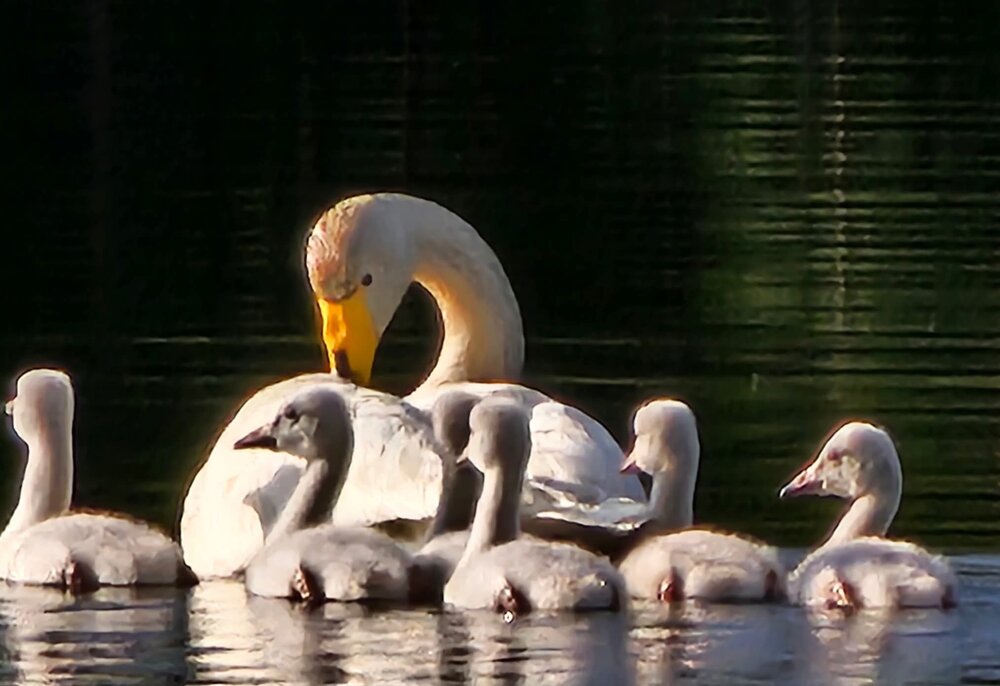 Photograph by mirja pasanen