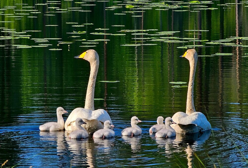 Photograph by mirja pasanen