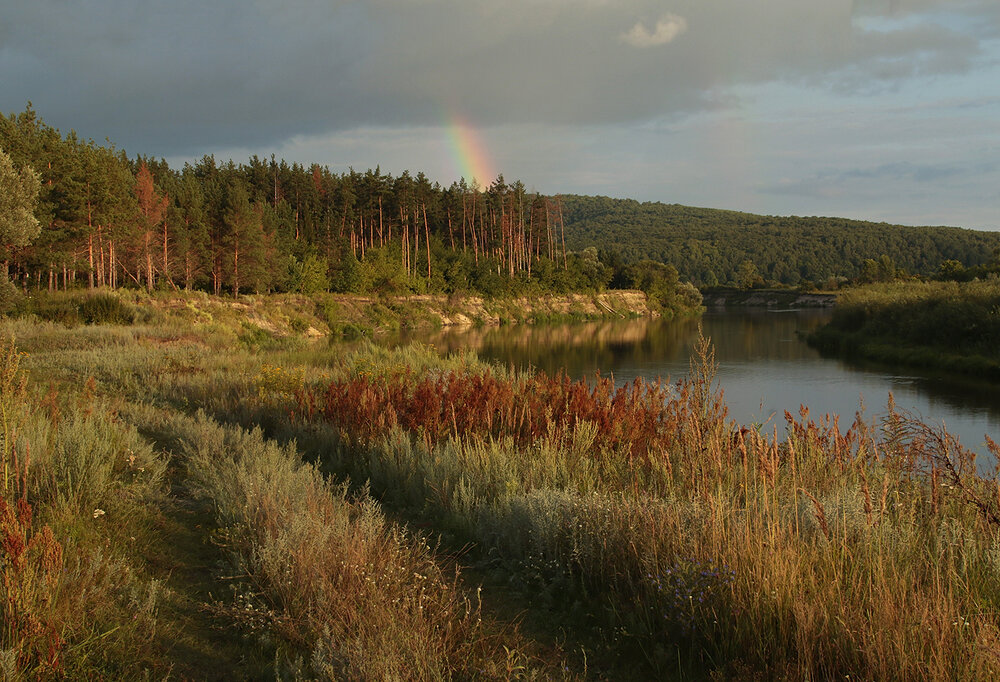 Photo #13957919