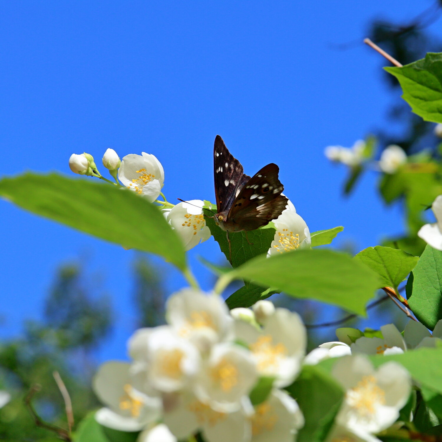 Photo #13957975