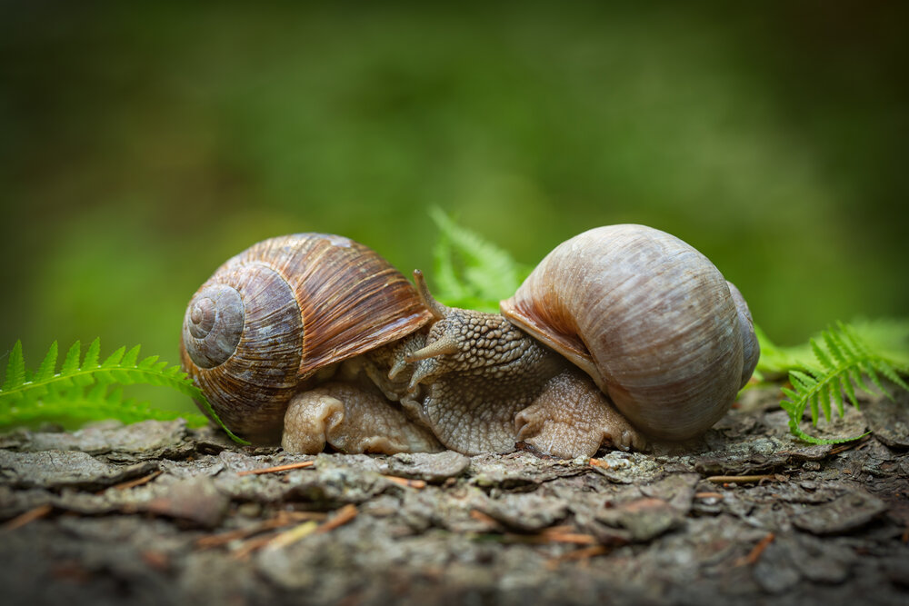 Photograph by Arina Bogachyova
