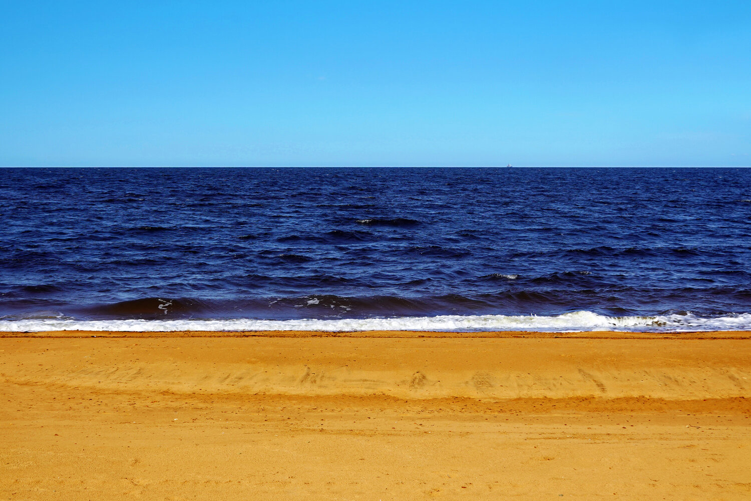 Photo #13958003