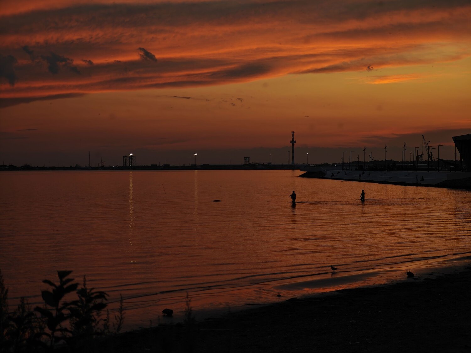 Photo #13958184