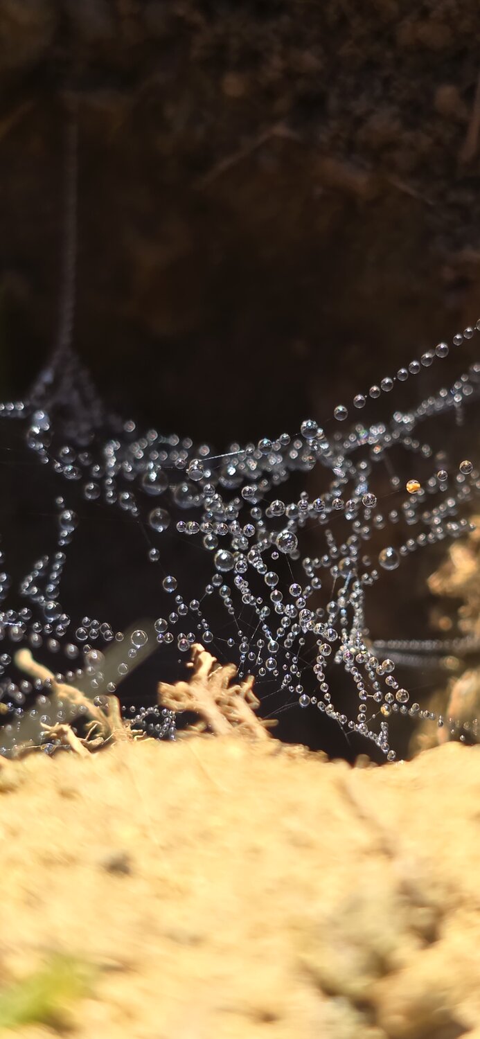 Drops