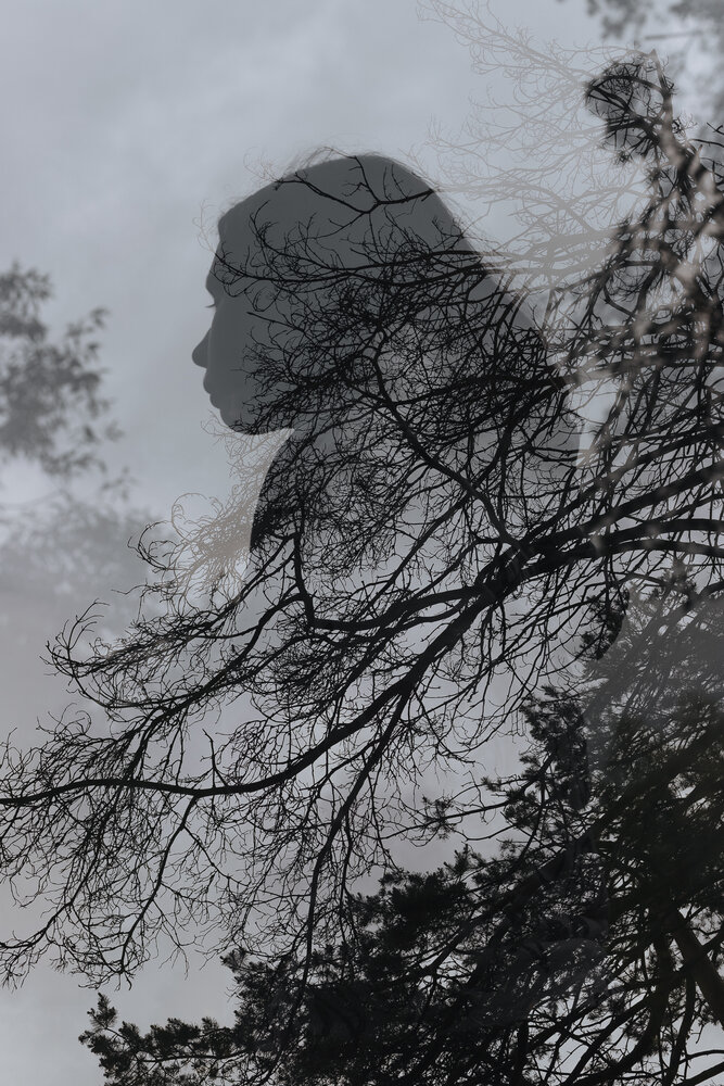 Photograph by Настасья Богомолова