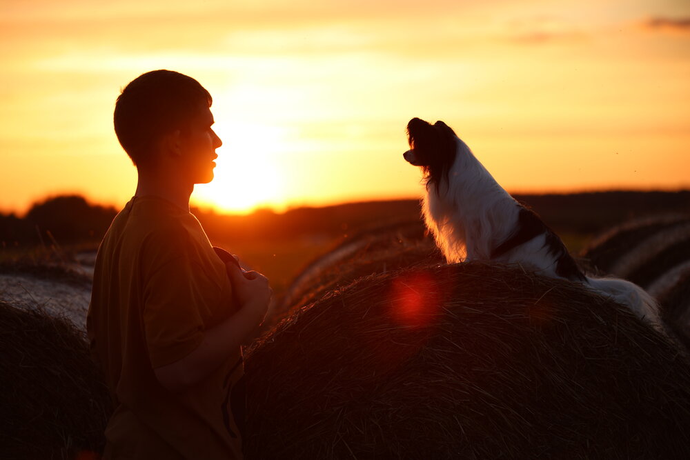 Photograph by Татьяна Федченко