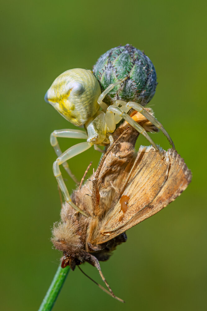 Photograph by Arina Bogachyova