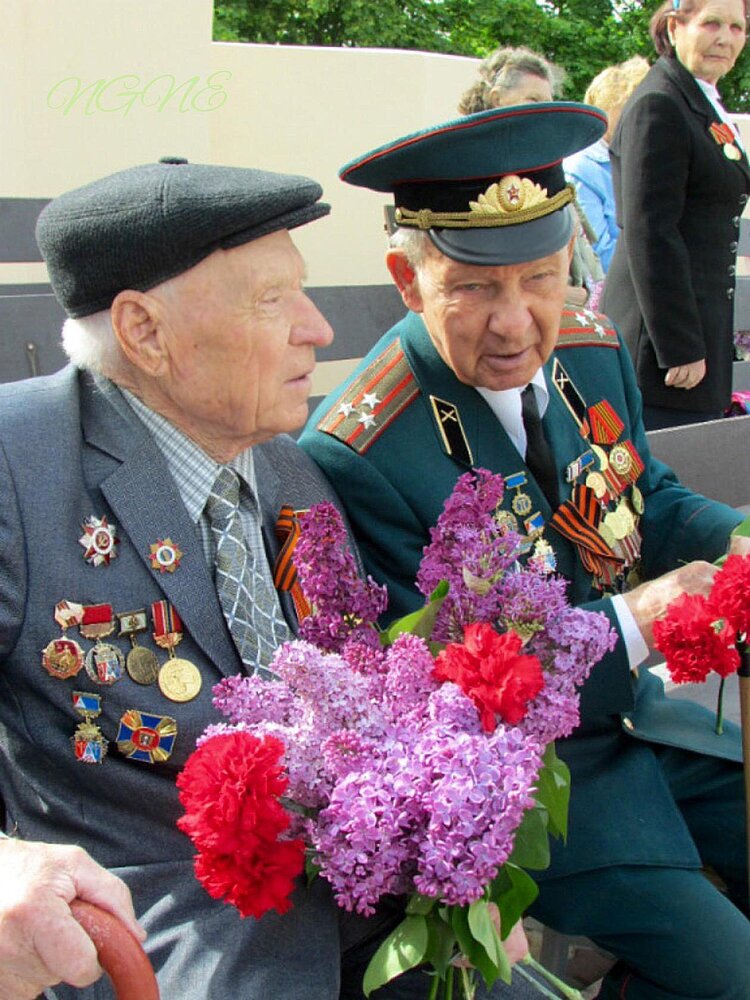 Фотография автора Наталья Гаврилова