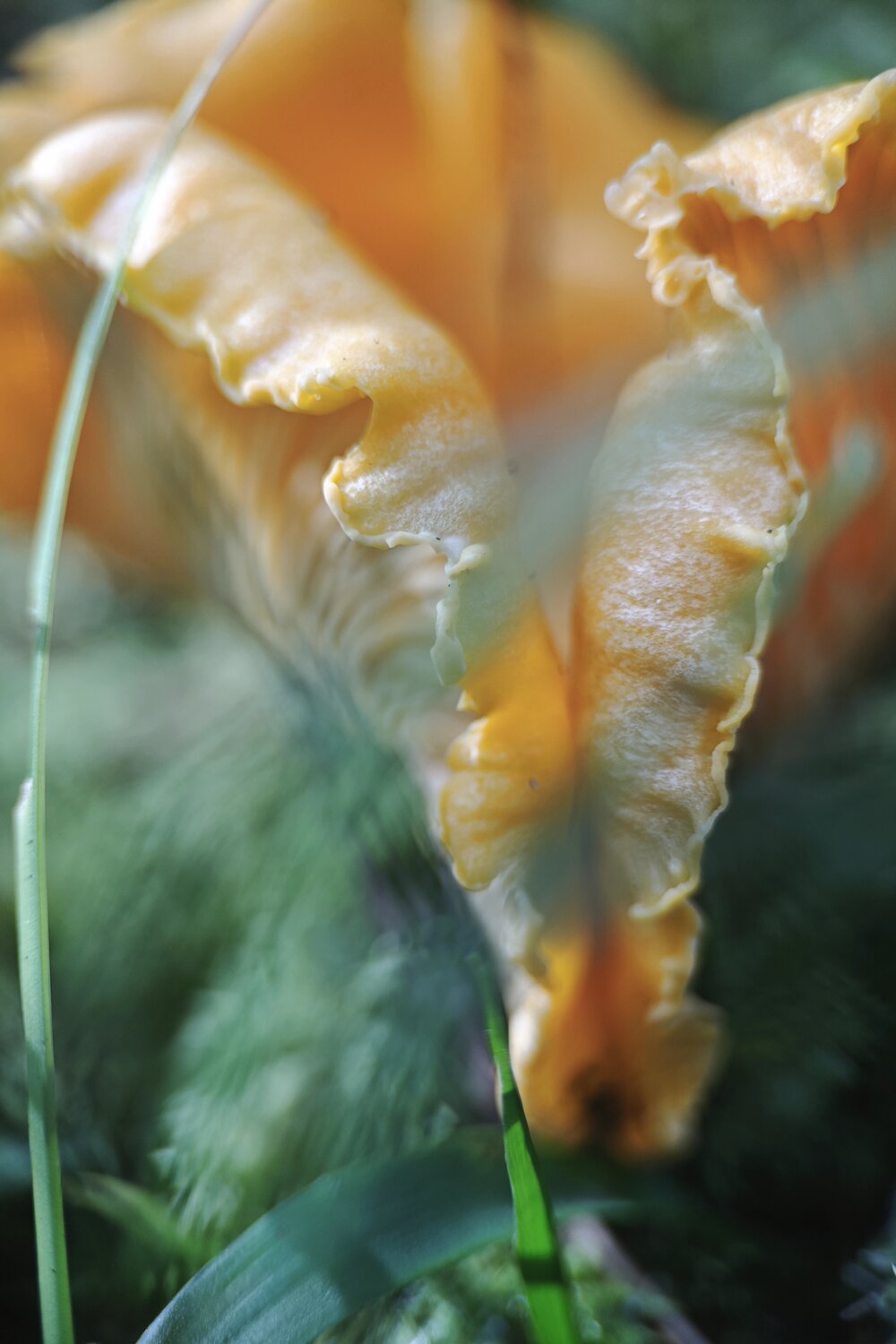 Photo #13958574