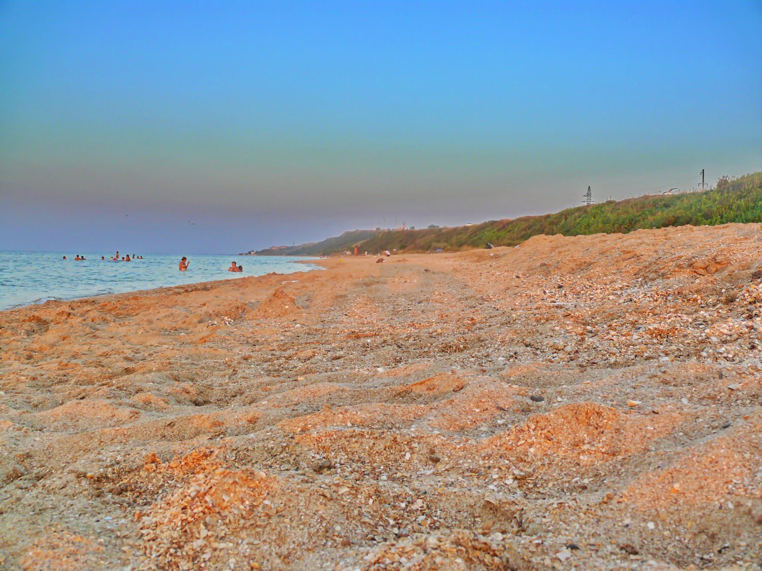Photo #13958597