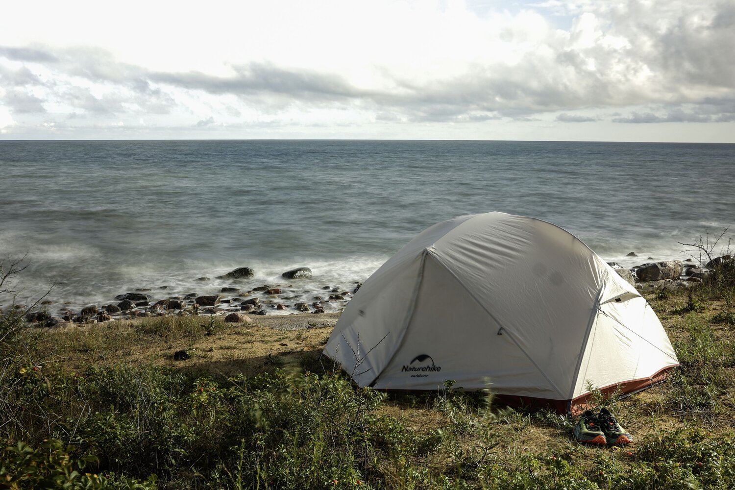 Photo #13958646