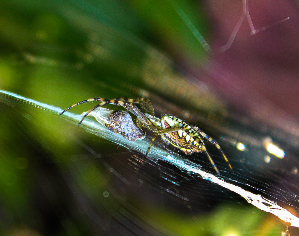 Photograph by Евгения Флиорчук