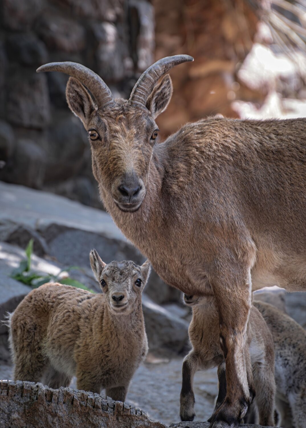 Photo #13958790