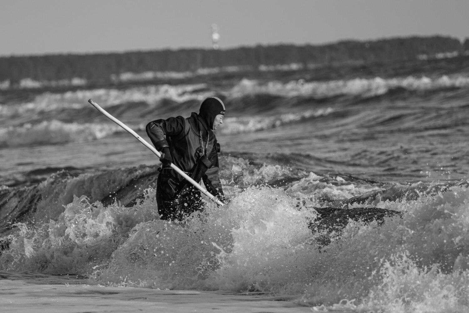 Photo #13958844