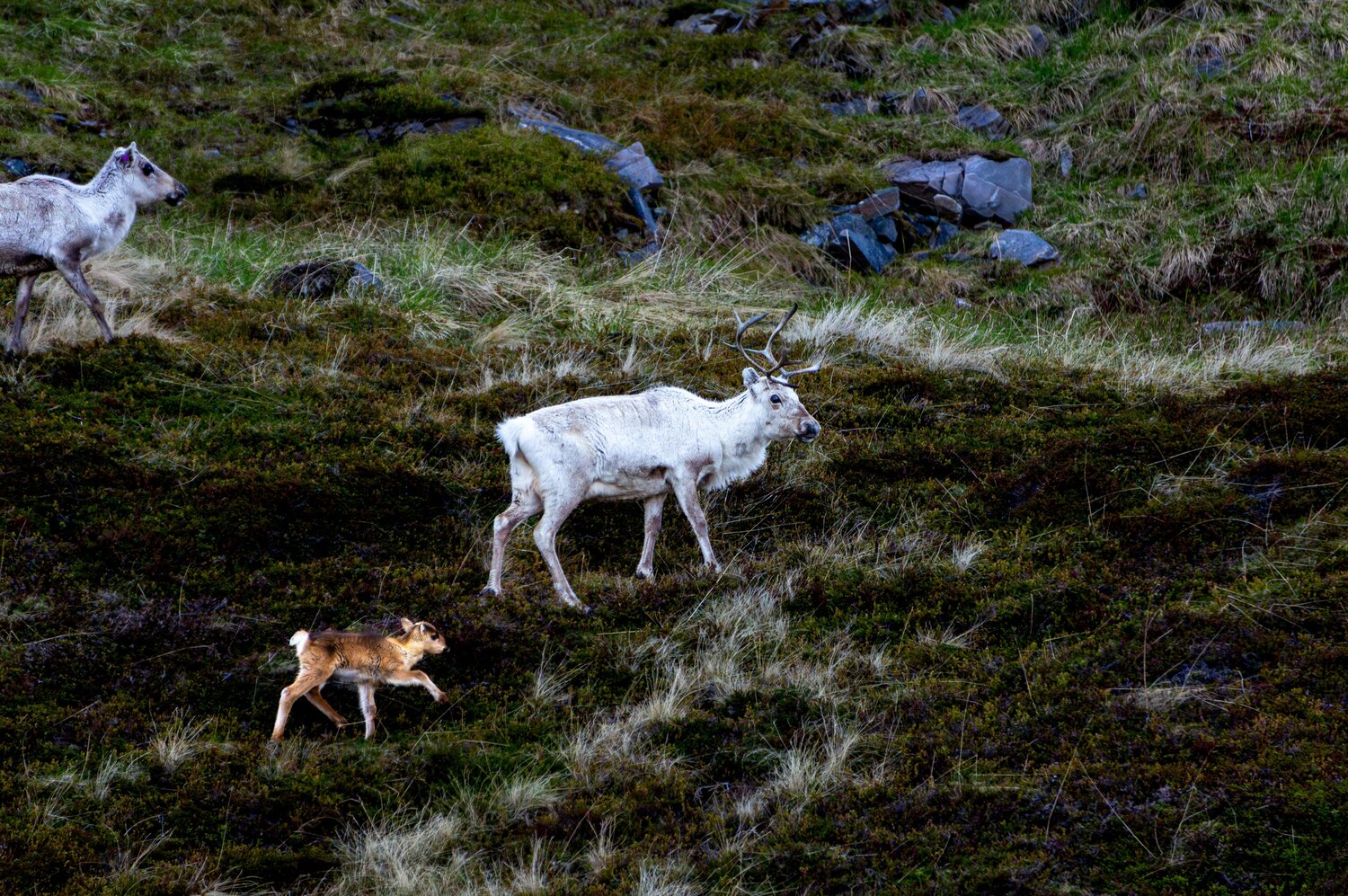 Photo #13958989