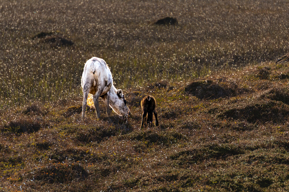 Photograph by Андрей Соколов