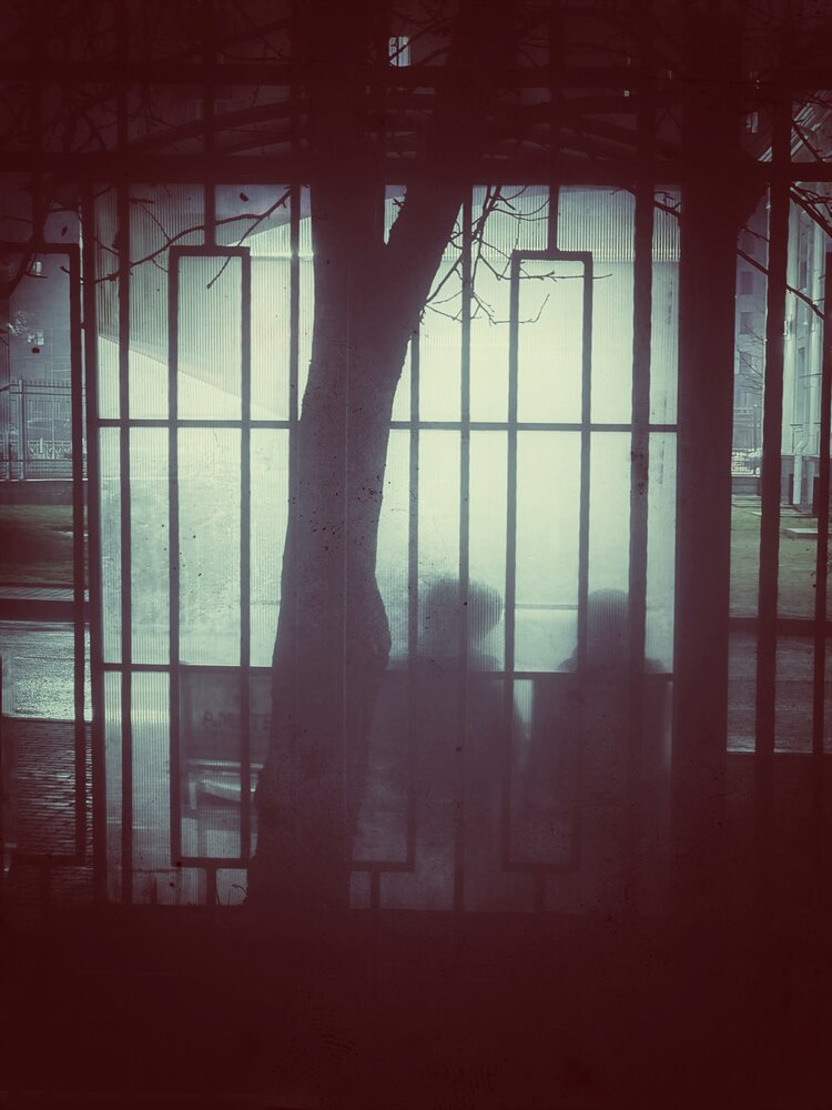 Photograph by Ирина Хлебникова