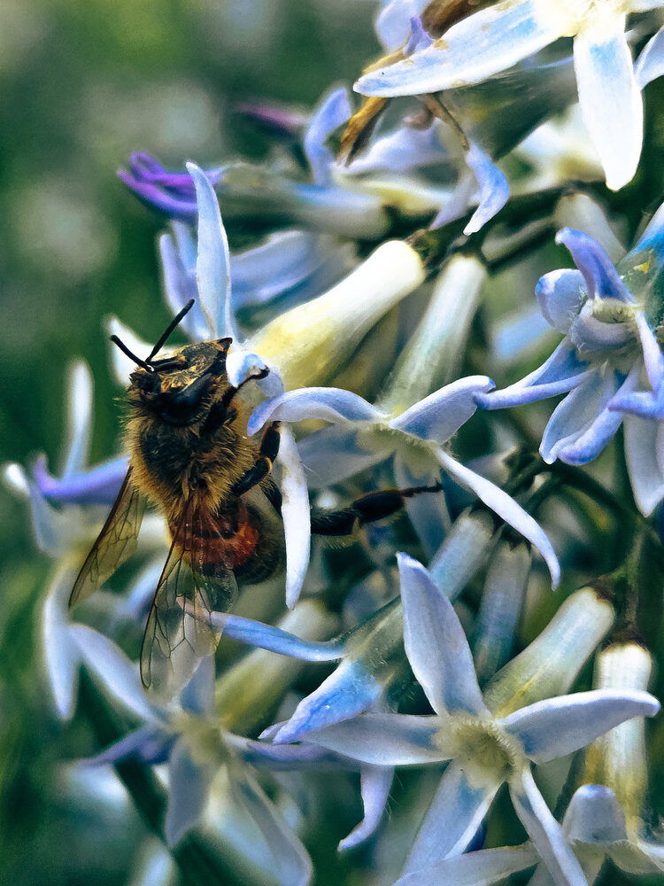 Photograph by Ирина Шауро